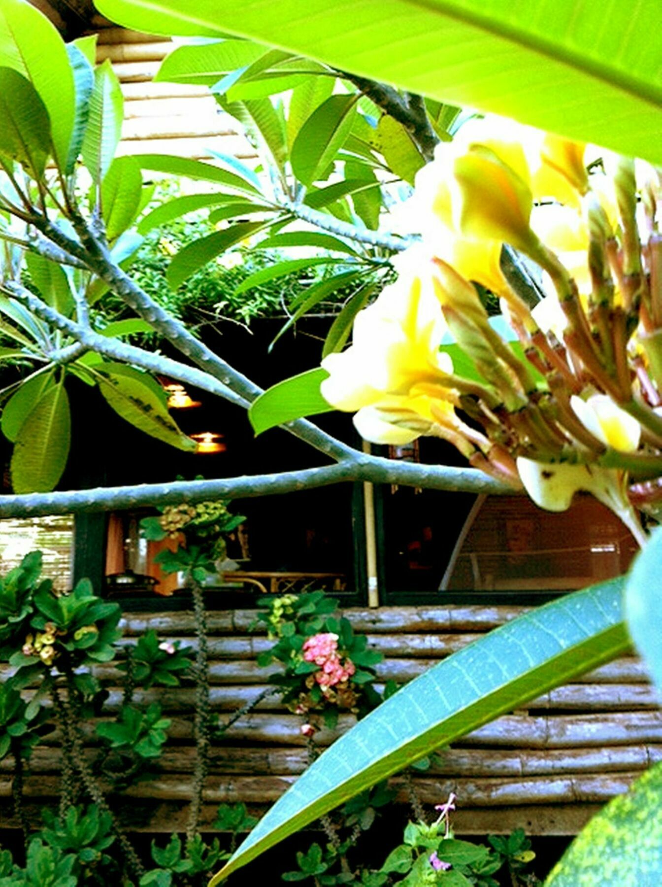 The Village House Puerto Princesa Exterior foto